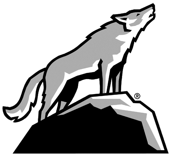 North Carolina State Wolfpack 2006-Pres Alternate Logo v10 iron on transfers for clothing
